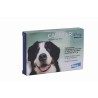 Capstar 57 mg - Antiparasitaires Chiens de plus de 11 kg - 6 Comprimés