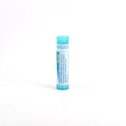 CHELIDONIUM COMPOSE Tubes granules