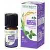 Naturactive Organic Noble Laurel Essential Oil, 5ml