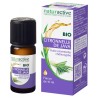  Naturactive Organic Java Lemongrass Essential Oil, 10 ml Naturactive