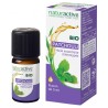 Naturactive Organic Patchouli Essential Oil, 5 ml