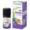 Carrot Essential Oil - Daucus Carota - Naturactive, 5ml