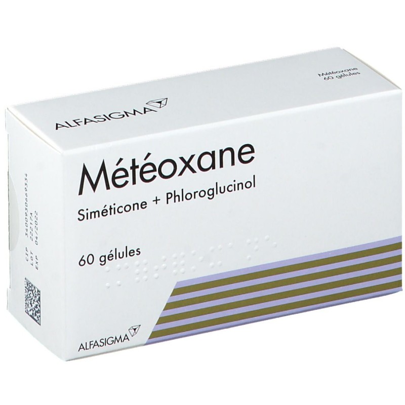  Météoxane Capsules – for Stomach Pain with Bloating – Pack of 60 Météoxane