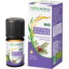 Lentisque Pistachio Essential Oil Naturactive 5 ml