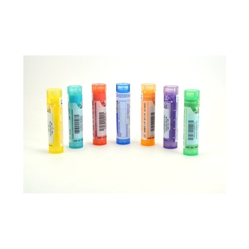 INFLUENZINUM 2024-2025 Tubes granules