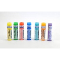 CONIUM MACULATUM Doses globules