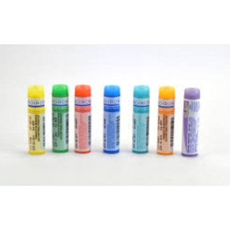 HYPERICUM PERFORATUM Doses globules