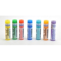 INFLUENZINUM 2025-2026 Doses globules