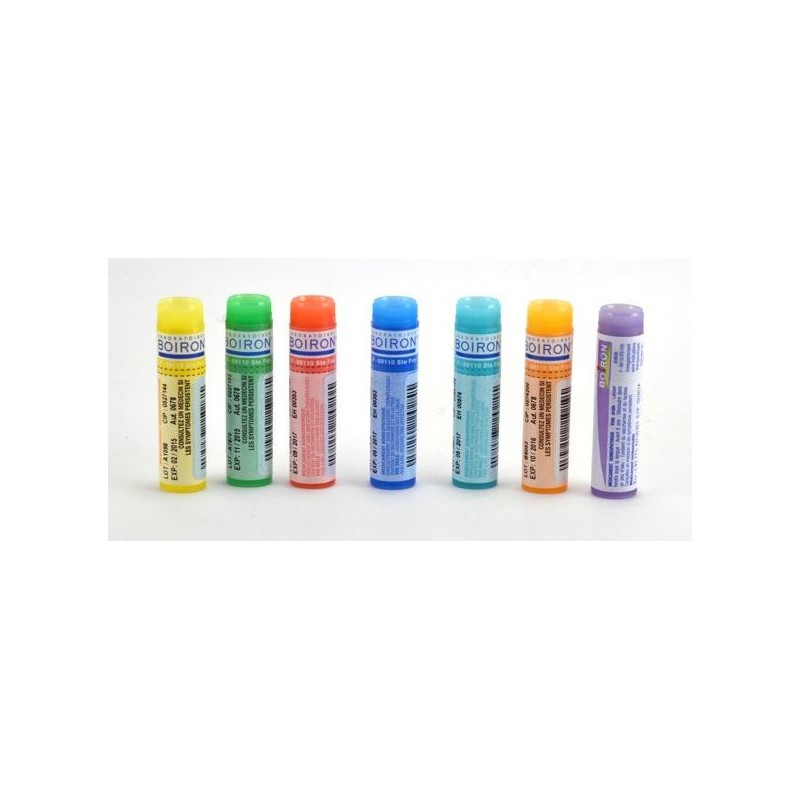 INFLUENZINUM 2025-2026 Doses globules