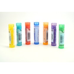 CANAL PANCREATIQUE Tubes granules