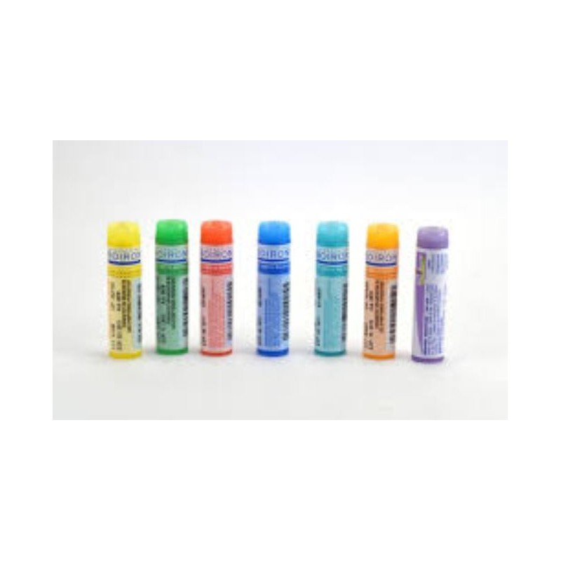 GALPHIMIA GLAUCA Doses globules