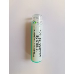 12 SELS DE SCHUESSLER 12CH Tubes granules