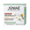 Moisturizing Recovery Mask Cream - Jowaé - 40ml