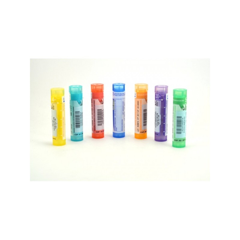  CHOLESTERINUM  Tube Granule BOIRON HOMEOPATHIE