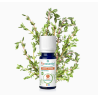  Organic Thyme Thymol Essential Oil - Puressential, 5 ml Puressentiel