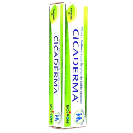 Cicaderma Ointment - Superficial Wounds & Burns - Boiron - 30 g