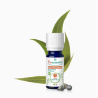 Huile Essentielle Eucalyptus Globuleux Bio, Puressentiel, 10 ml