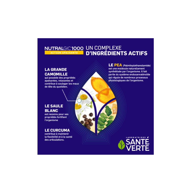  Nutralgic1000 Action Apaisante - Santé Verte - 10 Comprimés - Sante verte