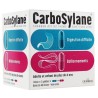Carbosylane Ballonnements, Flatulences, 48 doses de 2 gelules, Charbon activé 140mg / Simeticone 45mg