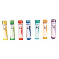 VESSIE - Tube Granule - Boiron