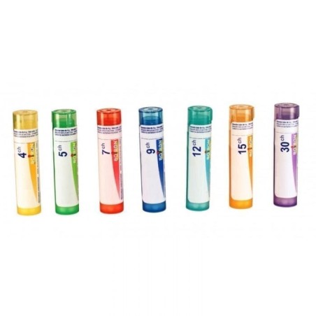  VESSIE - Tube Granule - Boiron BOIRON HOMEOPATHIE