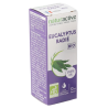 Huile Essentielle - Eucalyptus Radie Bio - Naturactive - 10 ml
