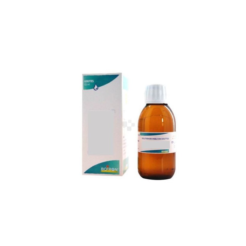 RIBES NIGRUM Bourgeons 1DH Macérats glycérinés 60ml