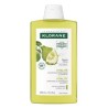 Shampooing à la Pulpe de Cédrat - Cheveux Gras - Klorane - 400 ml