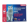 Vermifuge Chat - Milbémycine oxime/Praziquantel - 16mg/40mg - Viatris - 2 Comprimés