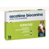  Ascatène - Vermifuge Chiens et Chats - Plus de 2 kg  - Boite De 10 Comprimés - Biocanina