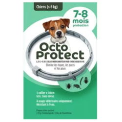 OctoProtect Collar - Small Dogs - Ticks & Fleas - Elanco - 1 collar, 38cm