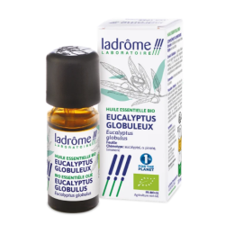 Huile Essentielle Eucalyptus Globuleux Bio - Ladrôme - 10 ml