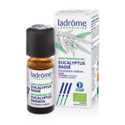 Huile Essentielle Eucalyptus Radié Bio - Ladrôme - 10 ml