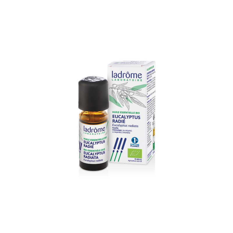 Huile Essentielle Eucalyptus Radié Bio - Ladrôme - 10 ml
