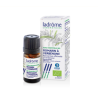 Huile Essentielle Romarin à Verbénone Bio - Ladrôme - 10 ml